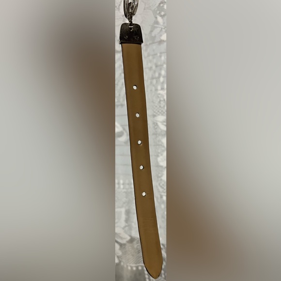 DG belt - Picture 6 of 14